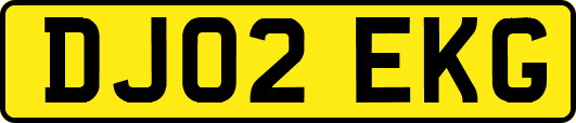 DJ02EKG