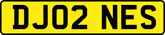DJ02NES