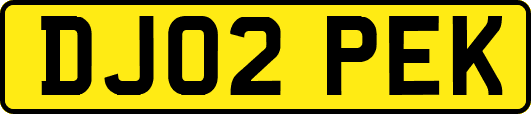 DJ02PEK