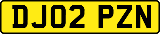 DJ02PZN