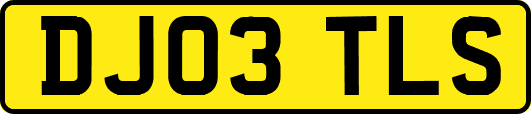 DJ03TLS