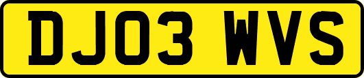 DJ03WVS