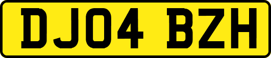 DJ04BZH