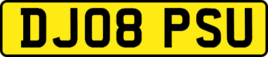 DJ08PSU