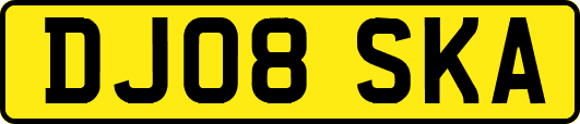 DJ08SKA