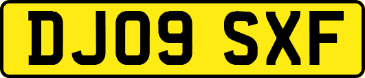 DJ09SXF