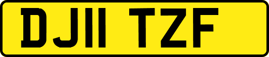 DJ11TZF