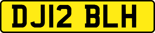 DJ12BLH