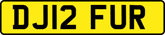 DJ12FUR