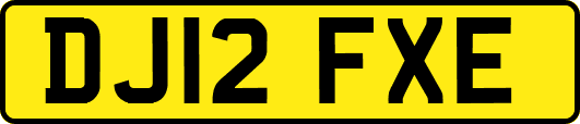 DJ12FXE