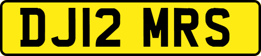 DJ12MRS