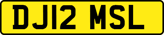 DJ12MSL
