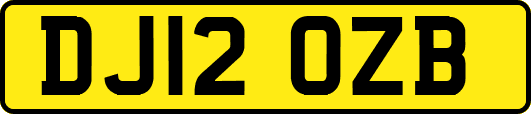 DJ12OZB