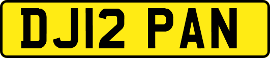 DJ12PAN