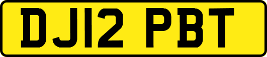 DJ12PBT