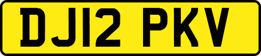 DJ12PKV