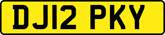 DJ12PKY