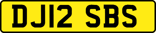DJ12SBS