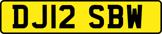 DJ12SBW