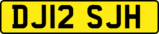 DJ12SJH