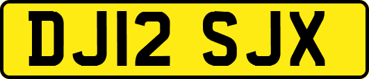 DJ12SJX