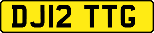 DJ12TTG