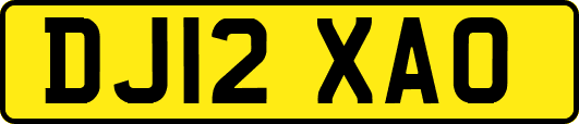 DJ12XAO