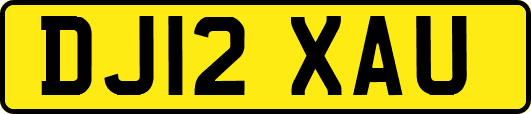 DJ12XAU
