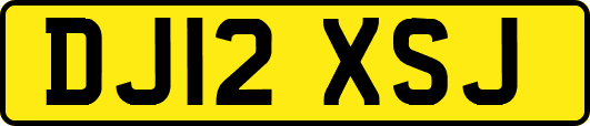 DJ12XSJ