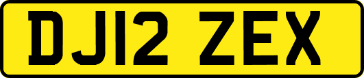 DJ12ZEX