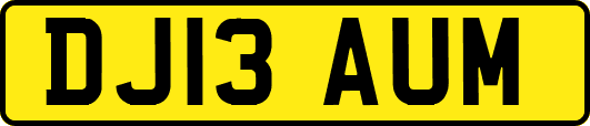 DJ13AUM