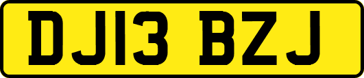 DJ13BZJ