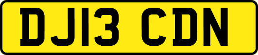 DJ13CDN