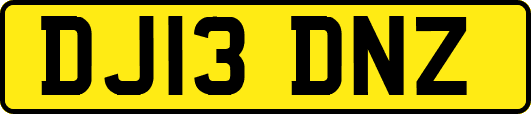 DJ13DNZ