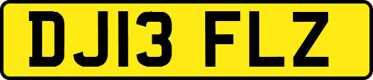 DJ13FLZ