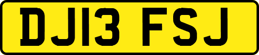 DJ13FSJ