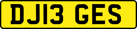 DJ13GES