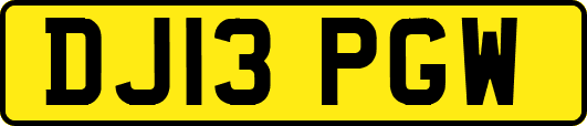 DJ13PGW