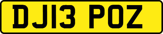 DJ13POZ