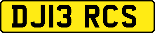 DJ13RCS