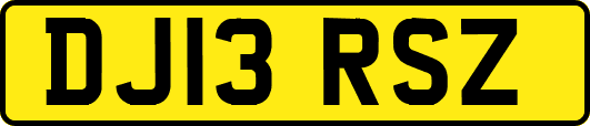DJ13RSZ