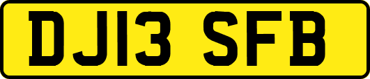 DJ13SFB