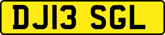DJ13SGL