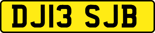 DJ13SJB