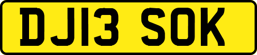 DJ13SOK