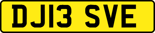 DJ13SVE