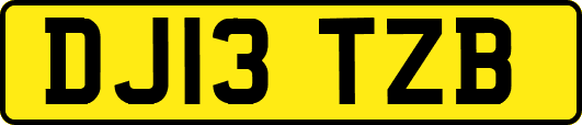 DJ13TZB