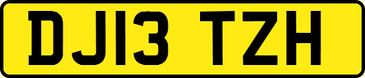 DJ13TZH