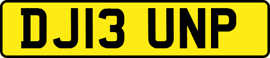DJ13UNP