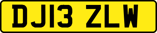 DJ13ZLW